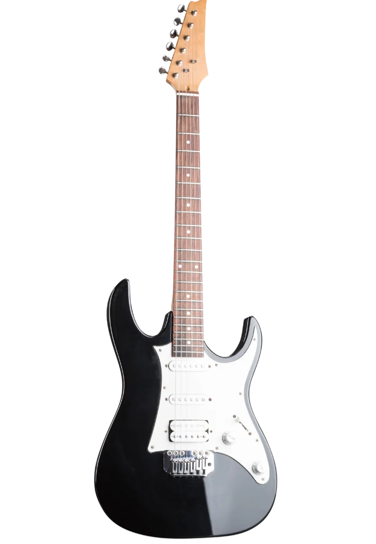 Musical Instruments in India , string instruments, percussion instruments, sitar instrument, violin instrument